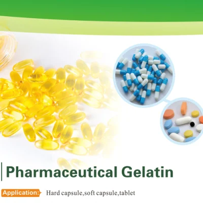 Pharmazeutische Gelatine von guter Qualität